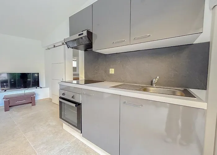 Avec Parking Terrasse Et Proche De La *